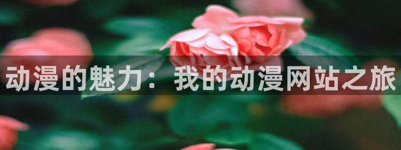 抖漫最新版本：动漫的魅力：我的动漫网站之旅