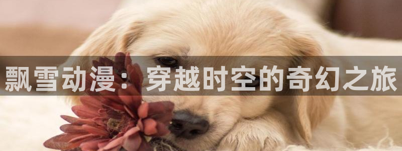 抖漫动漫app：飘雪动漫：穿越时空的奇幻之旅