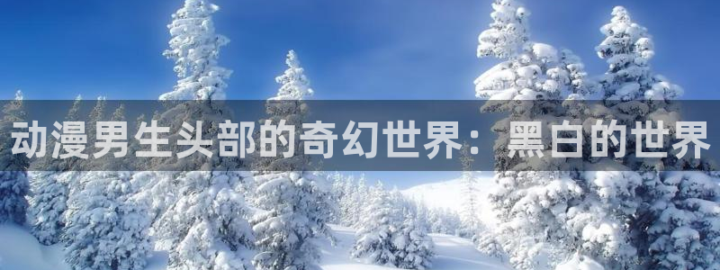 抖漫下载：动漫男生头部的奇幻世界：黑白的世界