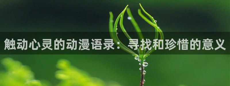 抖漫免费版下载：触动心灵的动漫语录：寻找和珍惜的意义