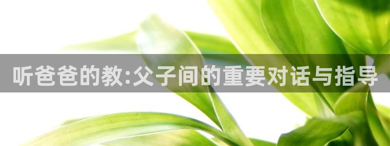 抖漫app动漫下载：听爸爸的教:父子间的重要对话与指导